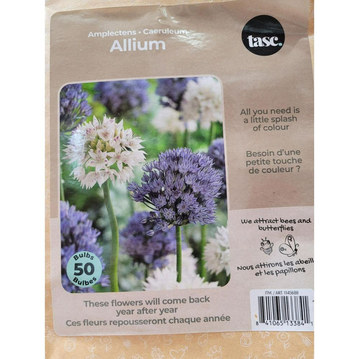 Tasc - Assortiments de bulbs de fleurs