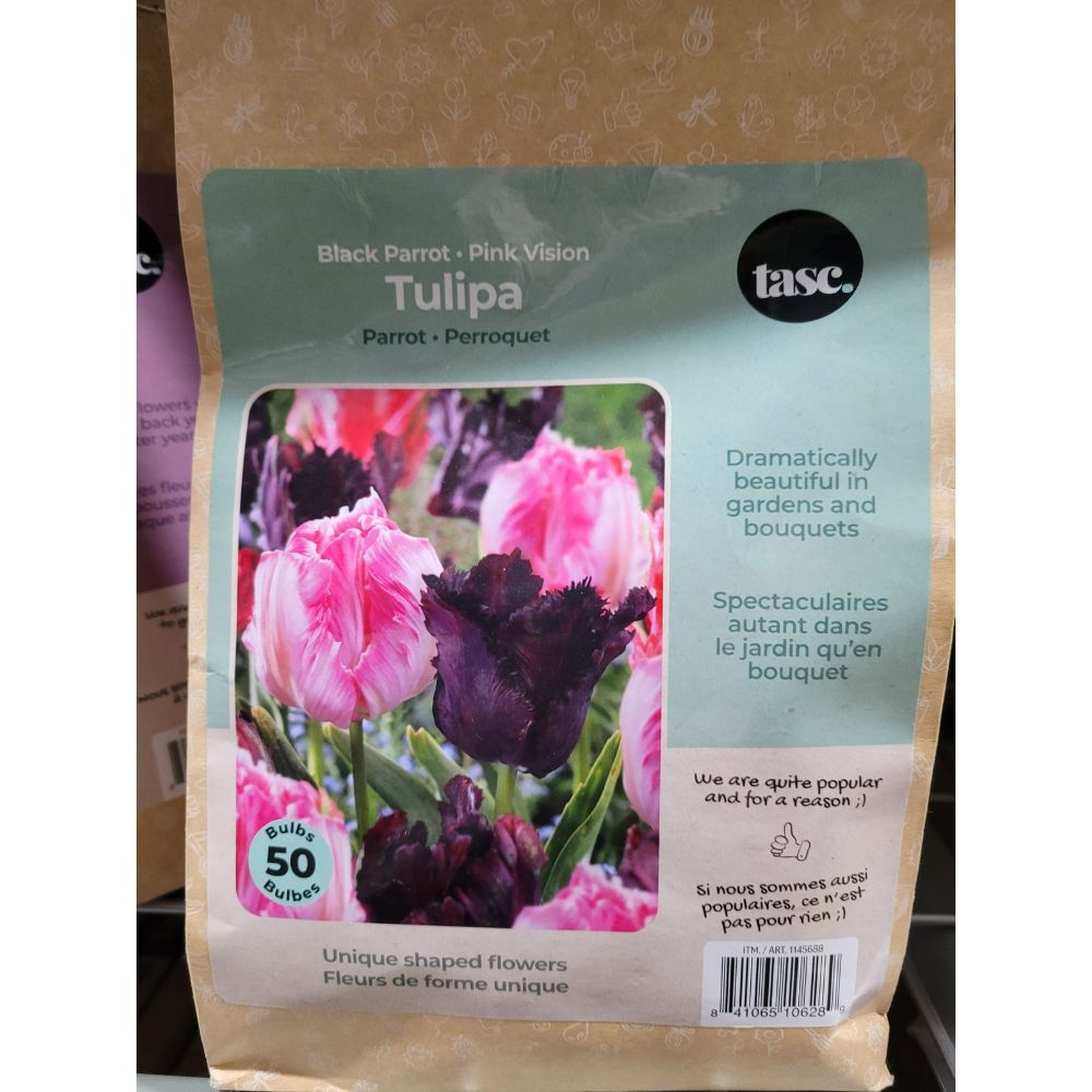 Tasc - Assortiments de bulbs de fleurs