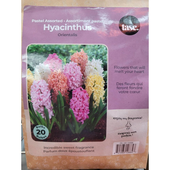 Tasc - Assortiments de bulbs de fleurs