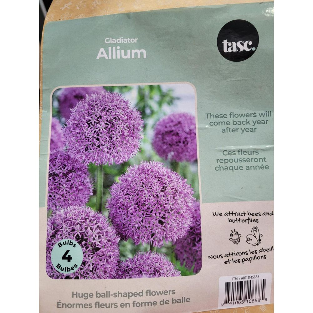 Tasc - Assortiments de bulbs de fleurs