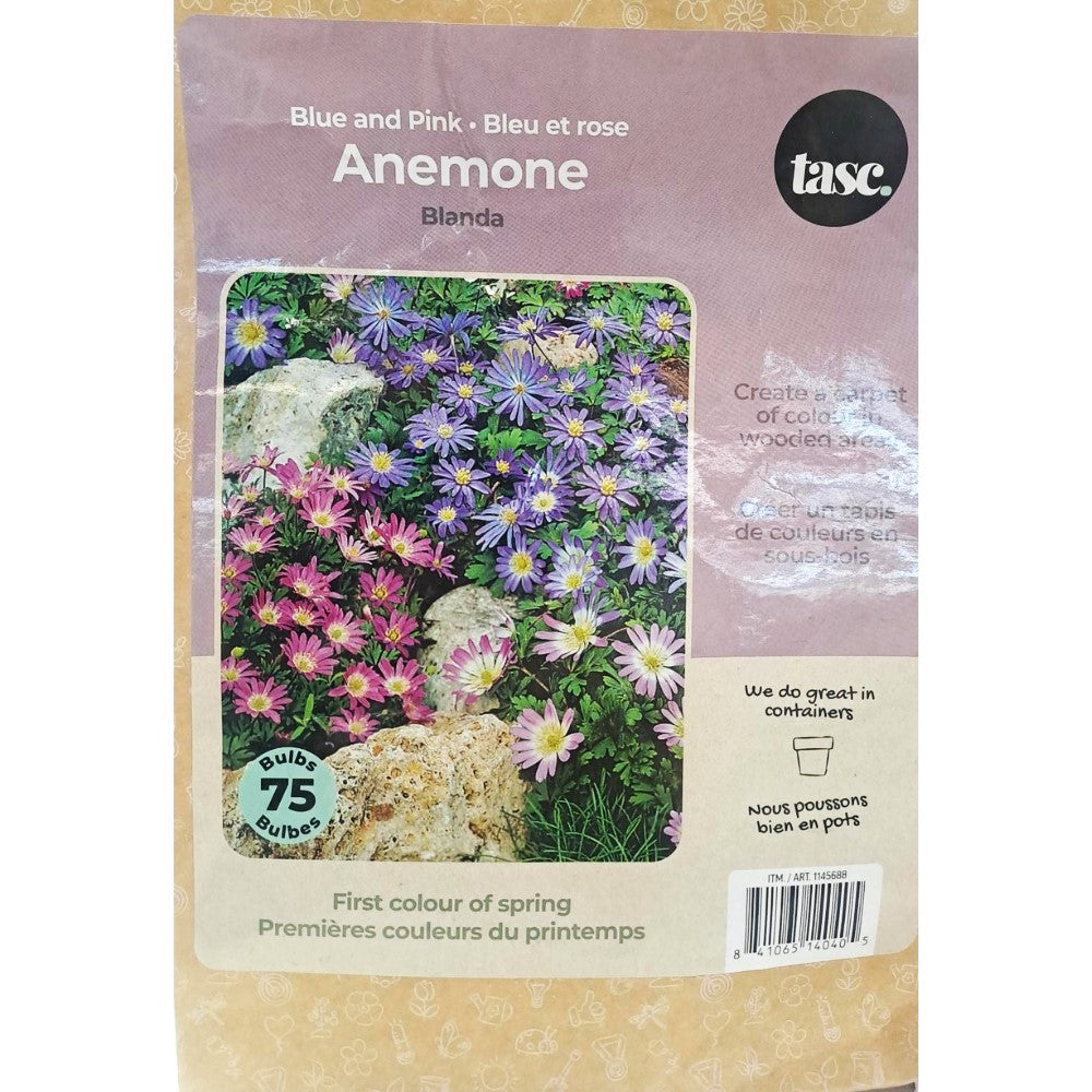 Tasc - Assortiments de bulbs de fleurs