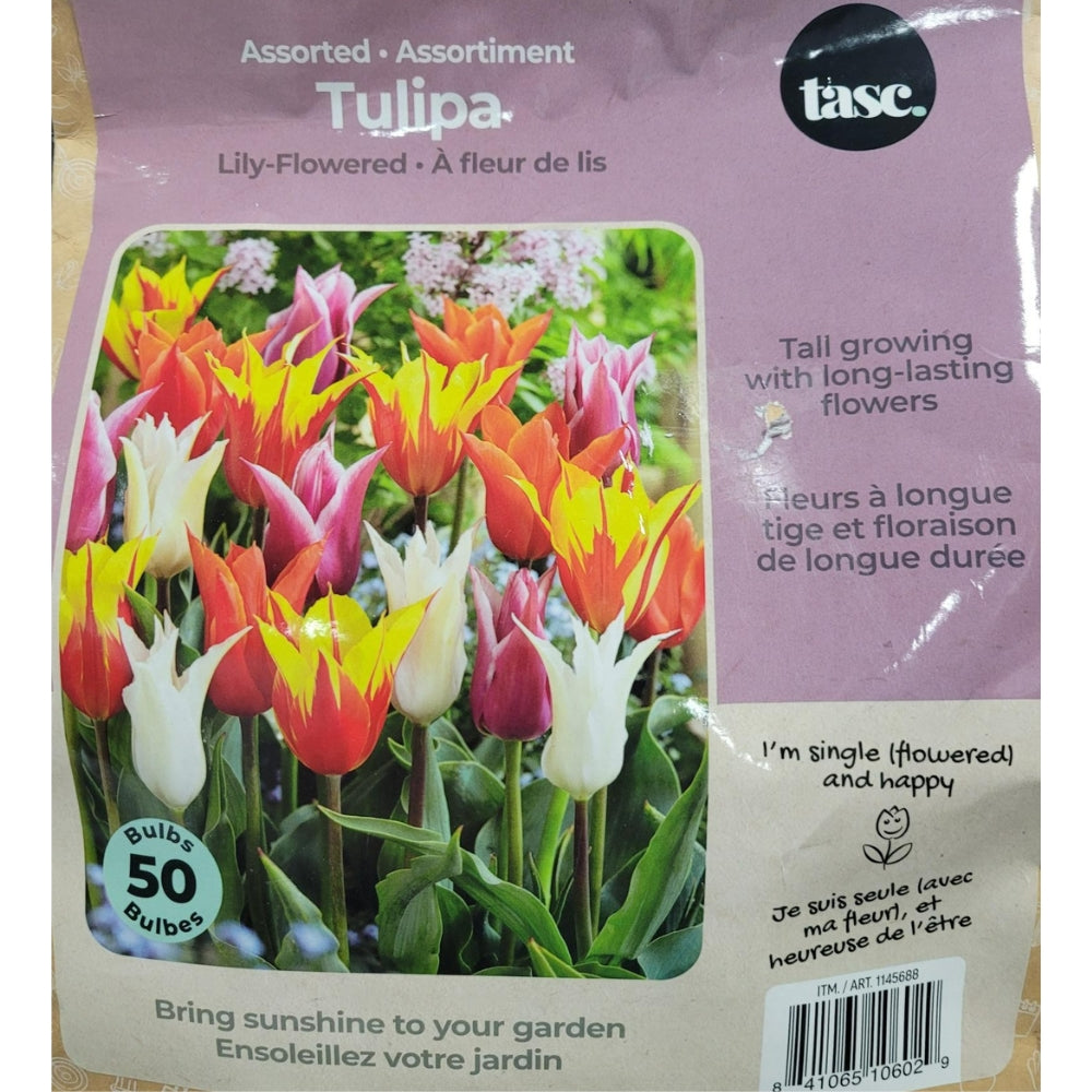 Tasc - Assortiments de bulbs de fleurs