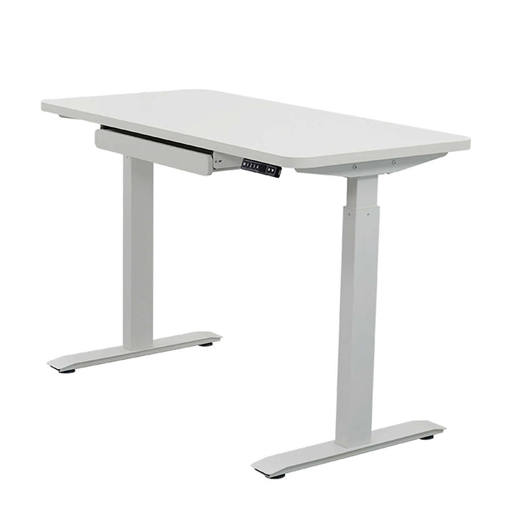 Motionwise Adjustable Electric Desk