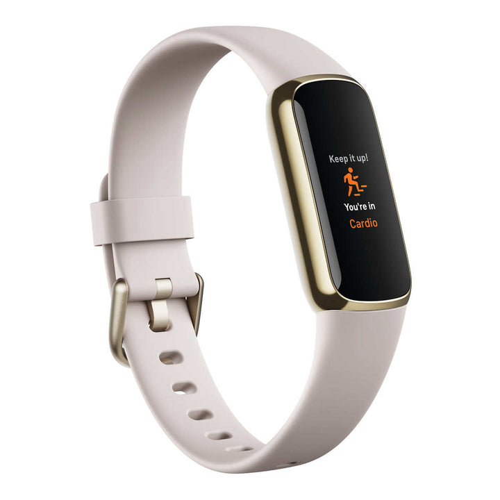Fitbit - Montre de luxe avec deux câbles de chargement