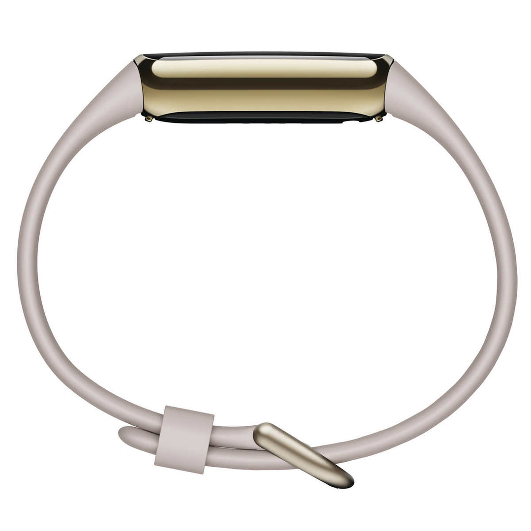 Fitbit - Montre de luxe avec deux câbles de chargement