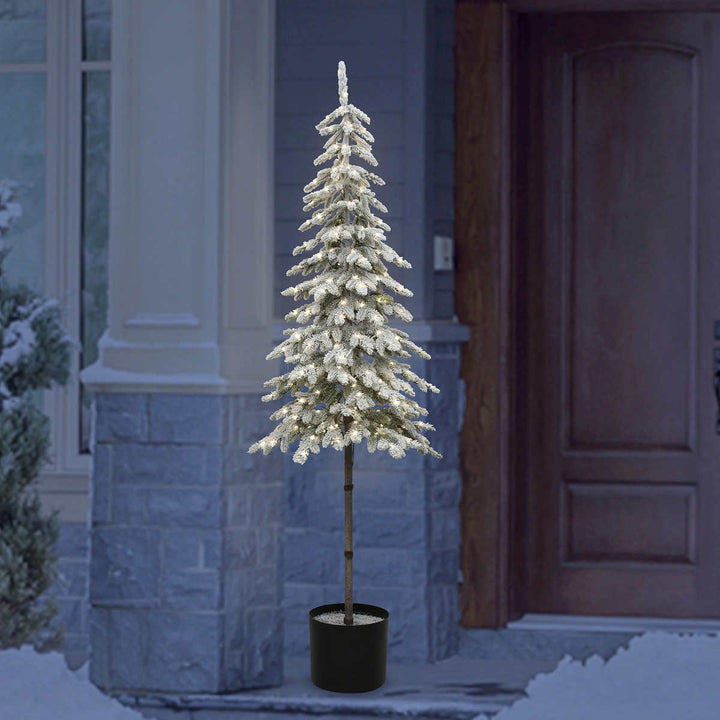 Potted Flocked Alpine Tree with Lights