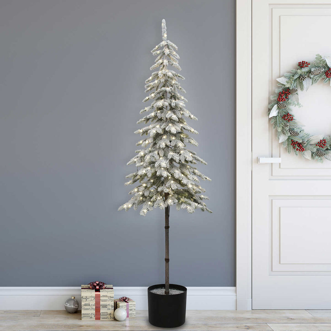 Potted Flocked Alpine Tree with Lights