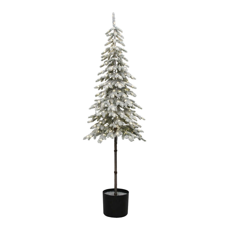 Potted Flocked Alpine Tree with Lights