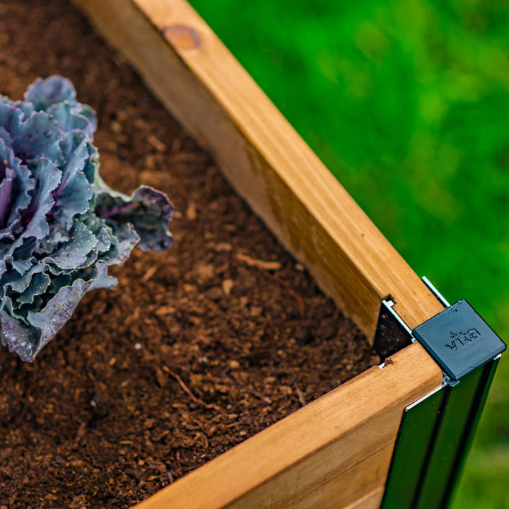 Vita Mezza Composting Garden