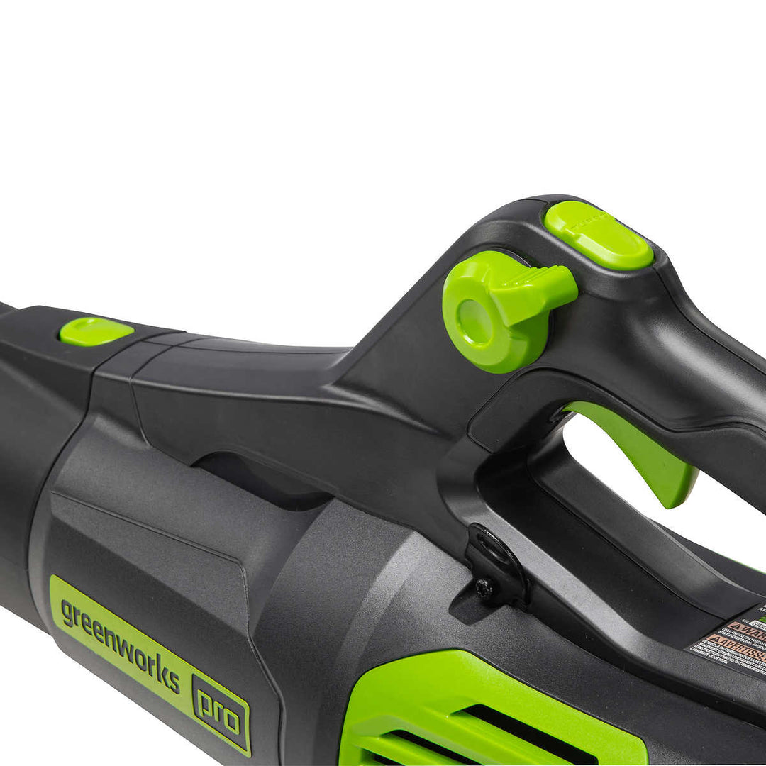 Greenworks - Ensemble débroussailleuse et souffleur sans fil Pro 80 V