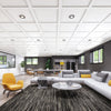 Embassy - Ensemble de plafond suspendu 2 x 2 pi couvrant 145 pi²