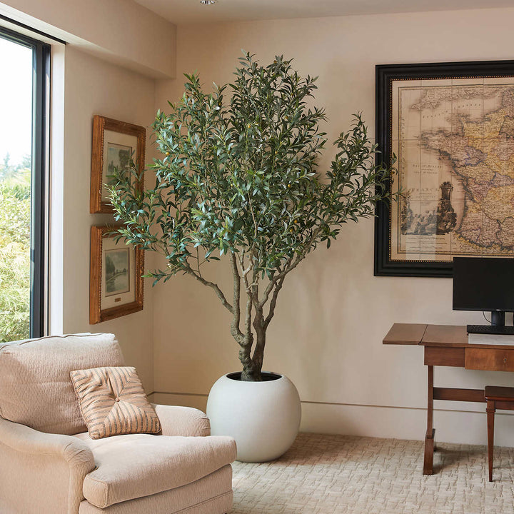 CGH - 243.6 cm (95.9") Artificial Olive Tree