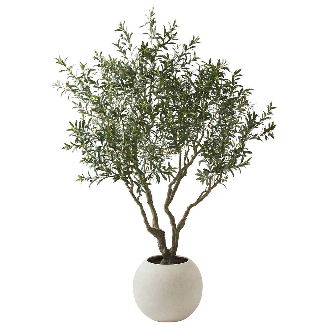 CGH - 243.6 cm (95.9") Artificial Olive Tree