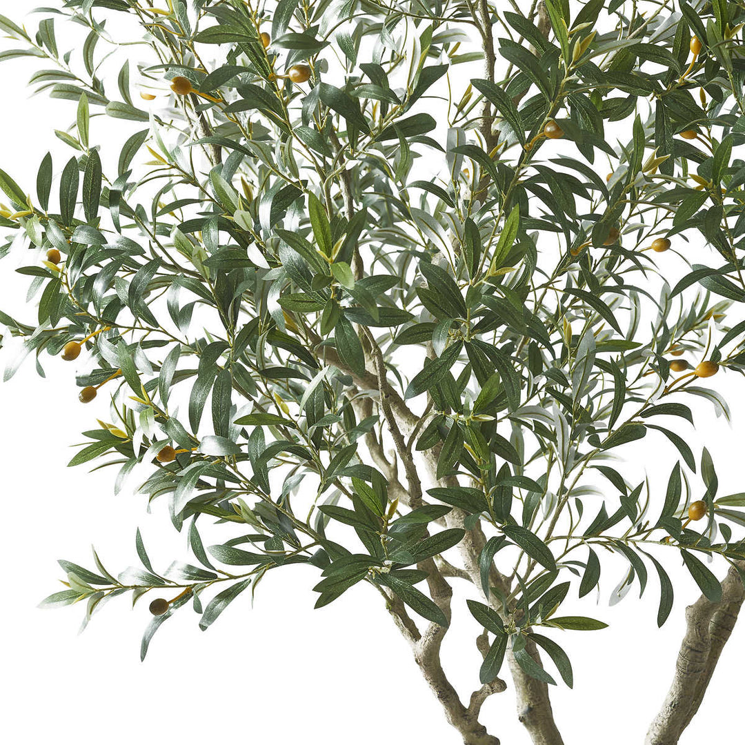 CGH - 243.6 cm (95.9") Artificial Olive Tree