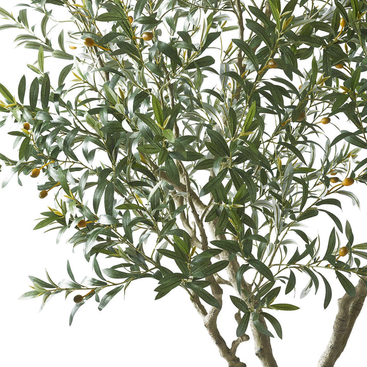 CGH - 243.6 cm (95.9") Artificial Olive Tree