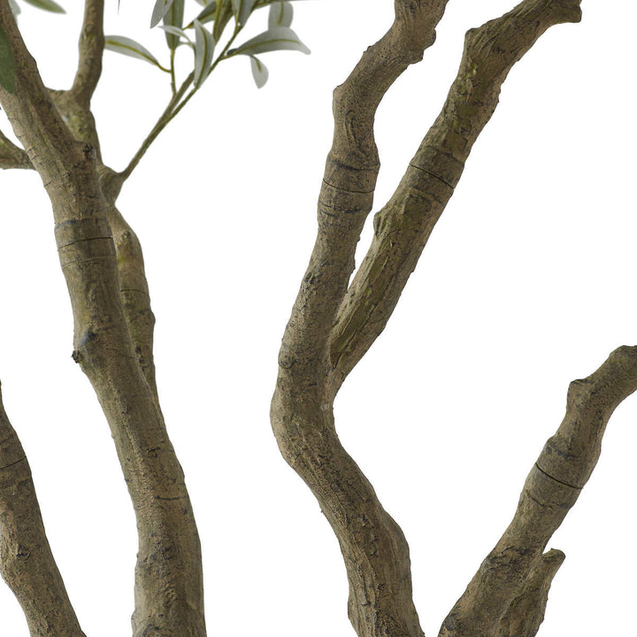 CGH - 243.6 cm (95.9") Artificial Olive Tree