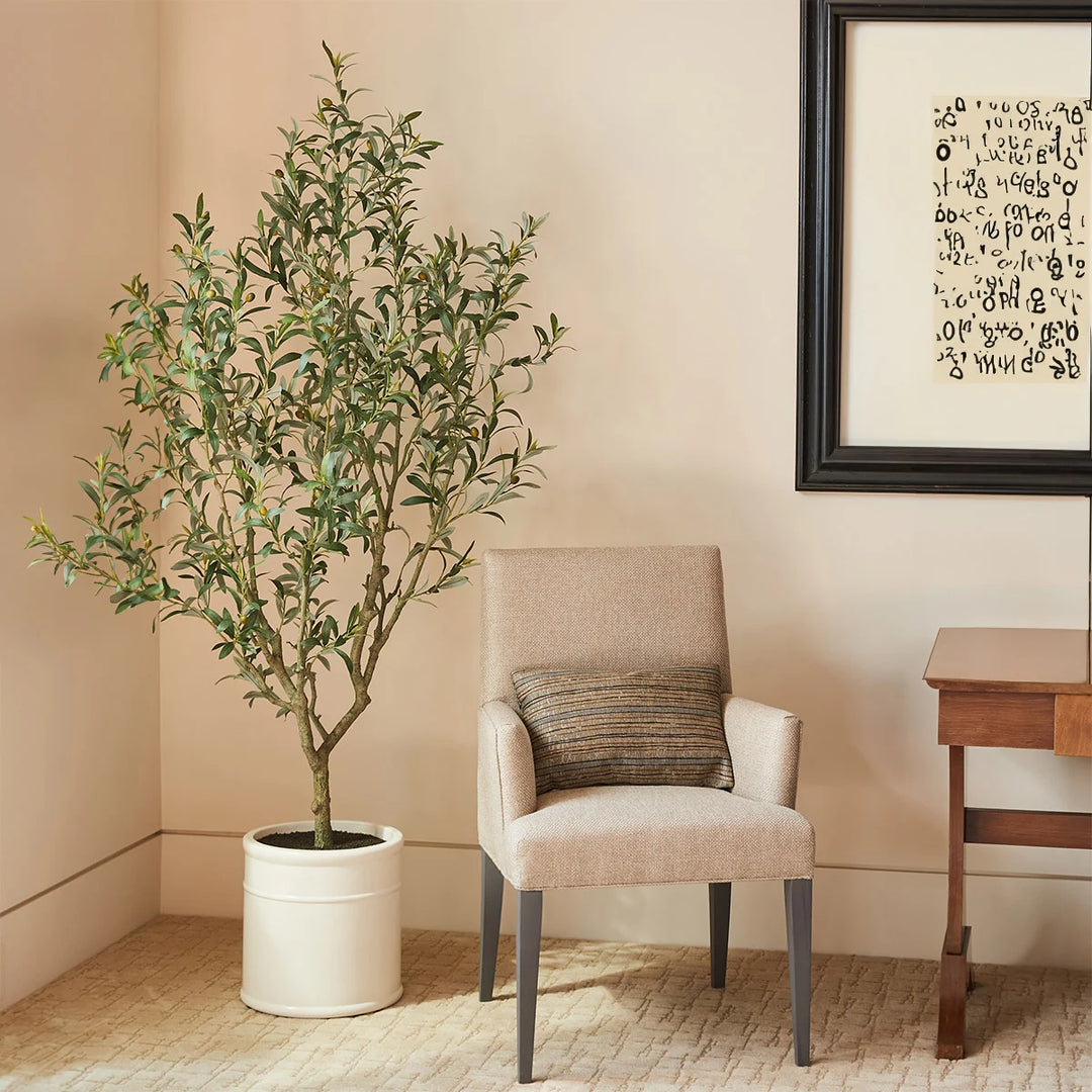 CGH Artificial Olive Tree