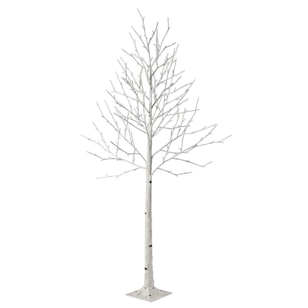 Set of 3 LED Birch Trees