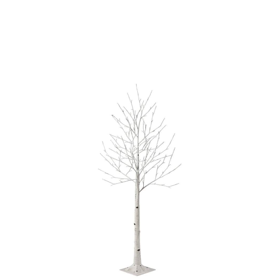 Set of 3 LED Birch Trees