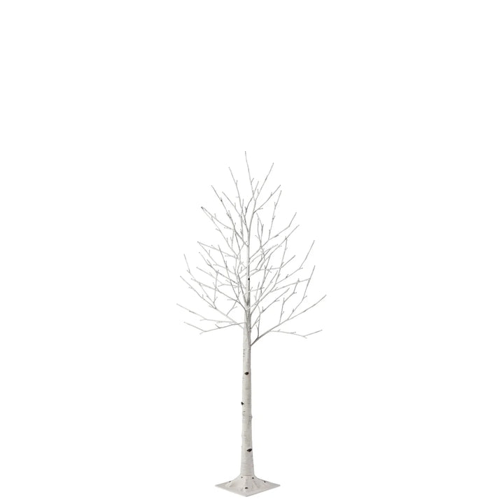 Set of 3 LED Birch Trees