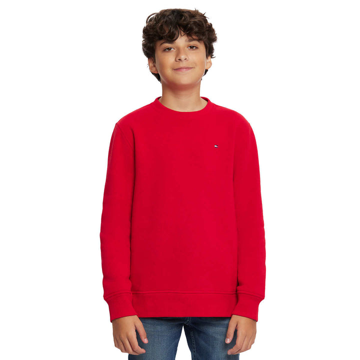 Tommy Hilfiger – Chandail à manches longues