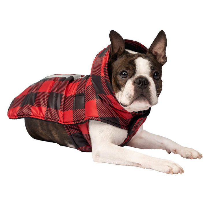 South Paw Jackson Dog Jacket