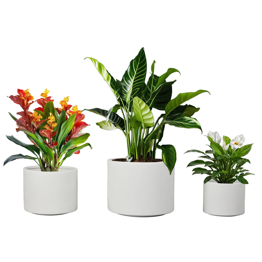 CMS - Jardinières rondes en céramique pour l’intérieur et l’extérieur, ensemble de 3