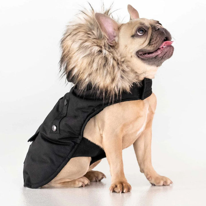Noize - Karter - Manteau pour chien