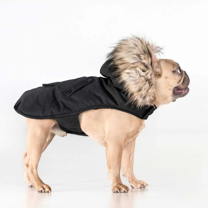 Noize - Karter - Manteau pour chien
