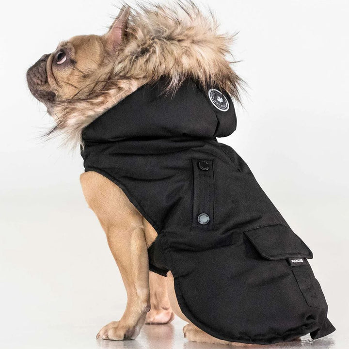 Noize - Karter - Manteau pour chien