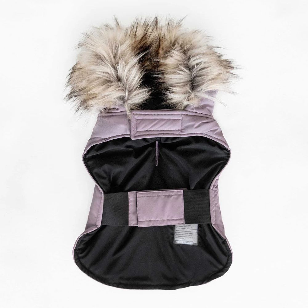 Noize - Karter - Manteau pour chien