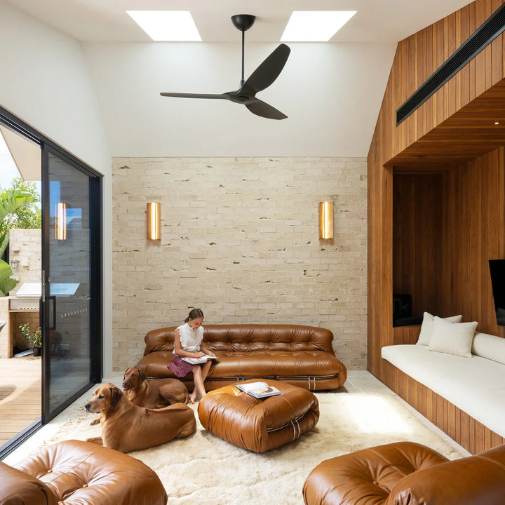 Big Ass Fans Indoor Ceiling Fan