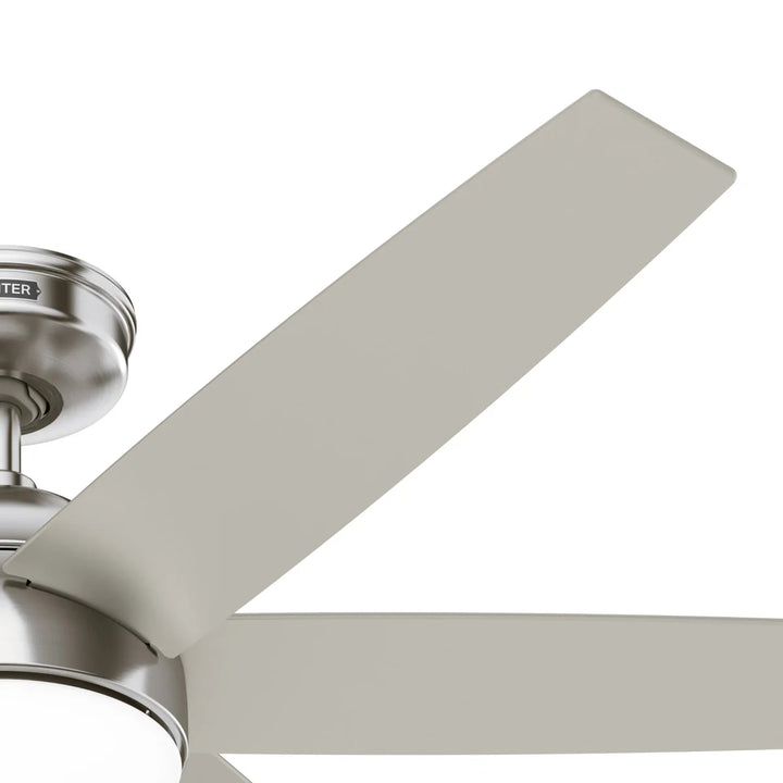 Hunter - Ventilateur de plafond Anza de 52 po