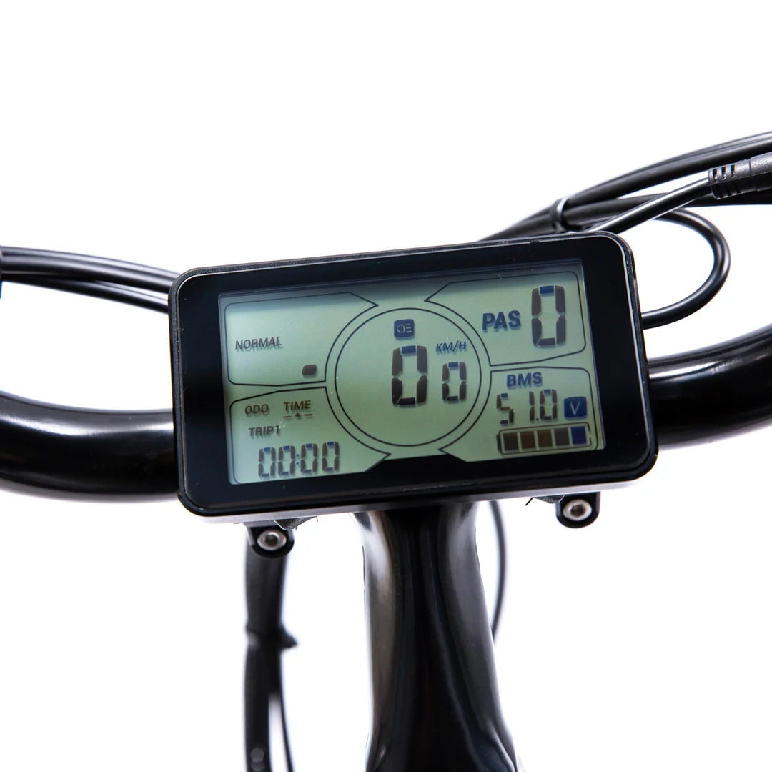 EBZE - Vélo électrique à pneus larges F48