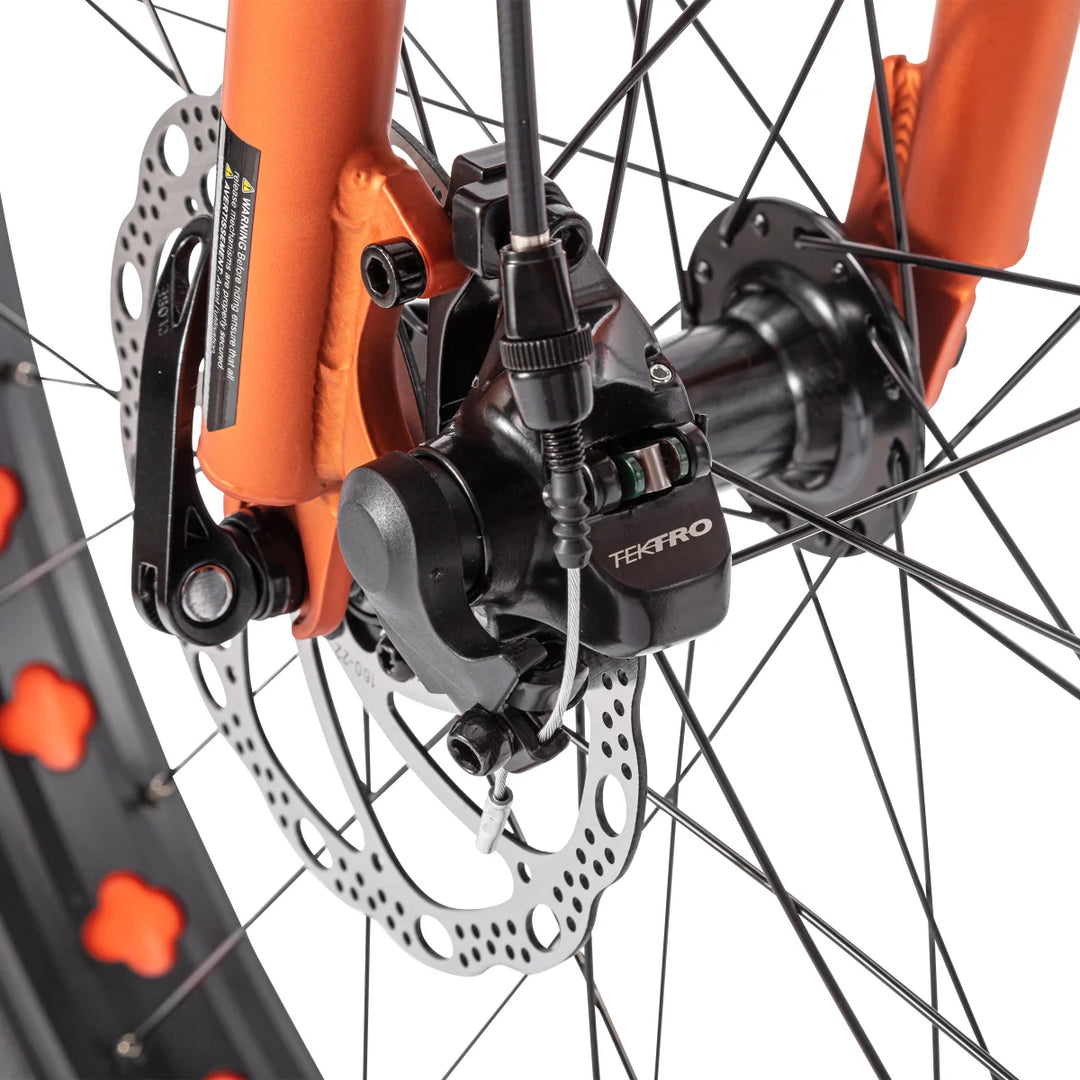 Northrock - XCF Fat Tire Bike