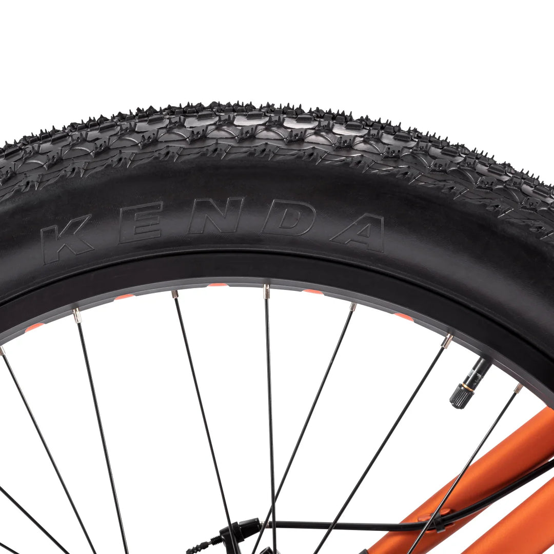 Northrock - XCF Fat Tire Bike