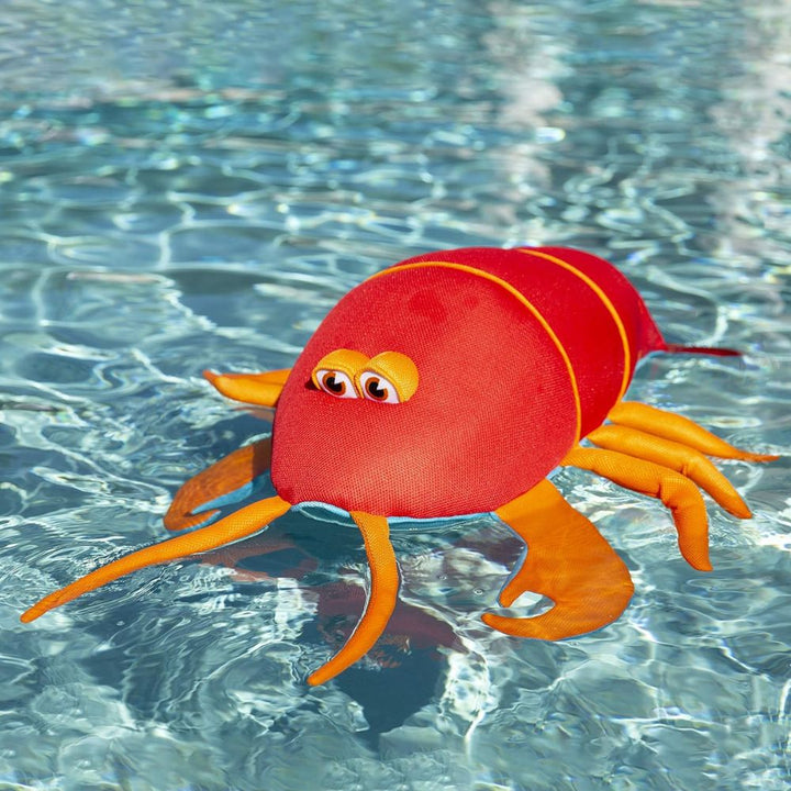 Big Joe Pool Petz Pool Float Toy
