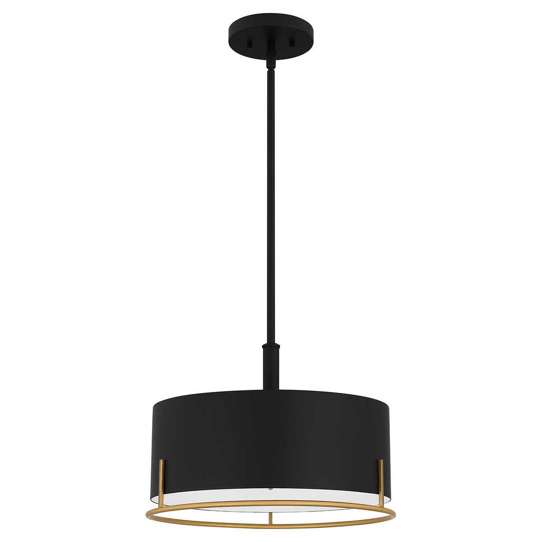 Ashley Harbor - LED Light Fixture