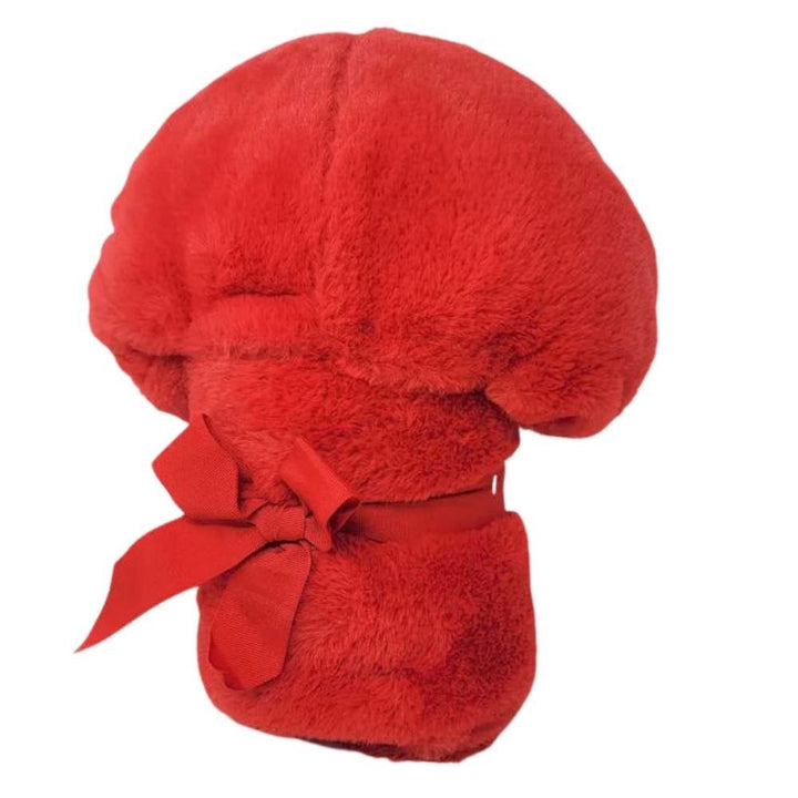 Disney Hooded Blanket