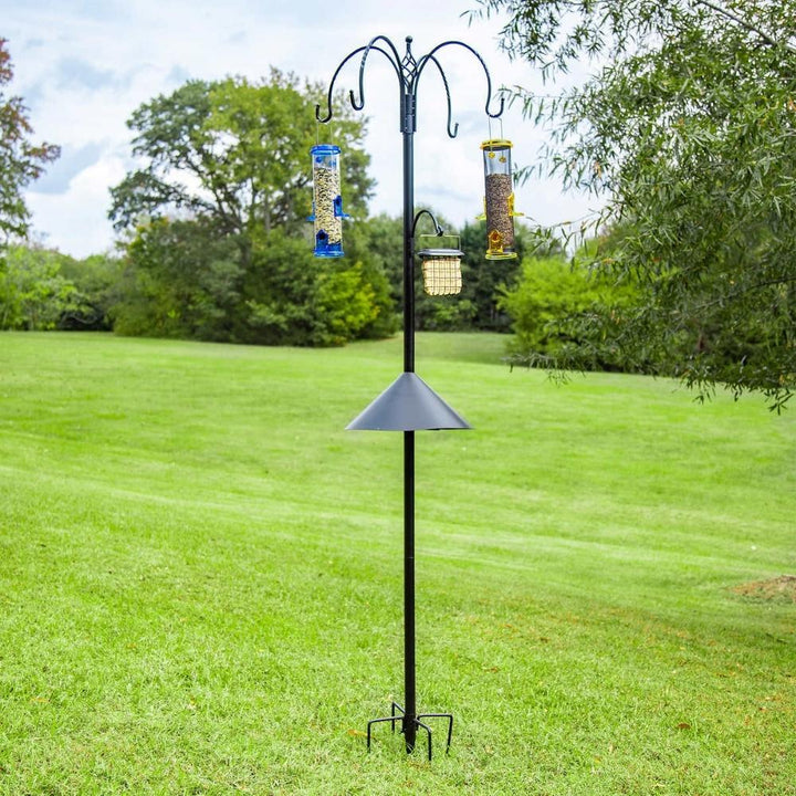 Evergreen Bird Feeding Station Kit
