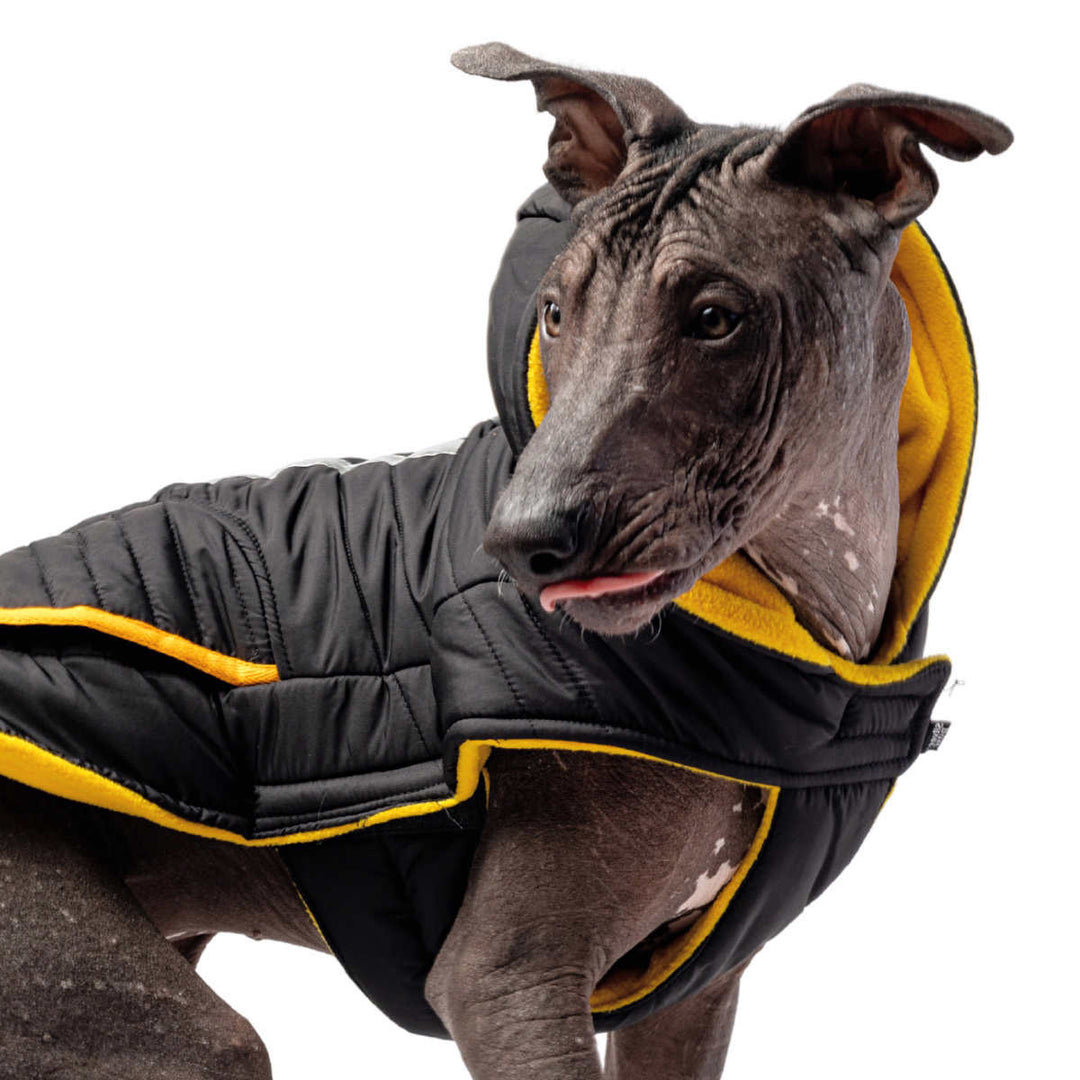 Silver Paw - Veste réflective pour chien