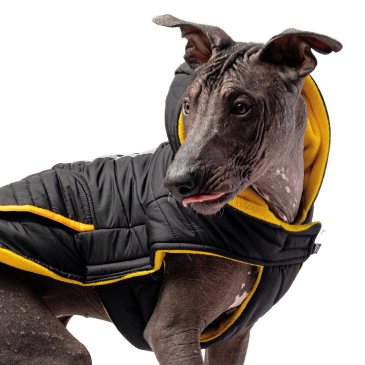 Silver Paw - Veste réflective pour chien