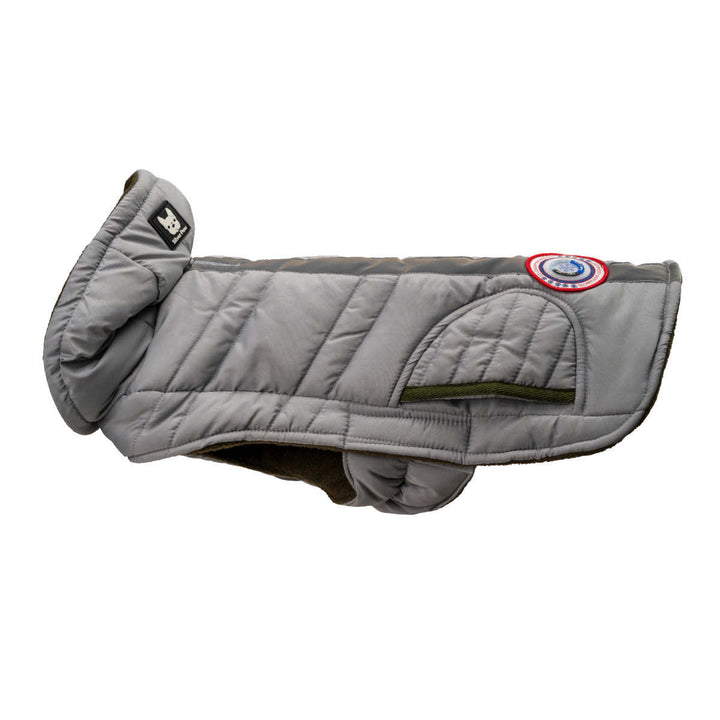 Silver Paw - Veste réflective pour chien